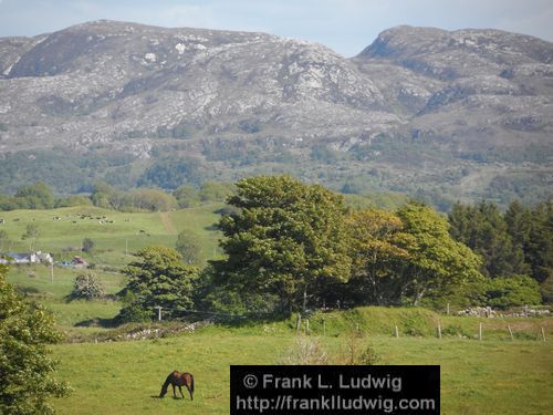 Carrowmore